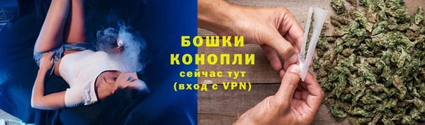 гашик Мегион
