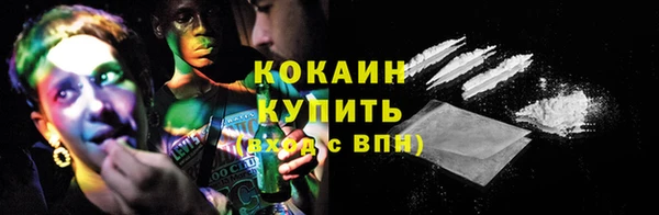 гашик Мегион