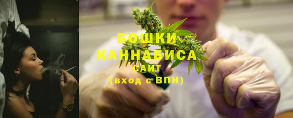 гашик Мегион
