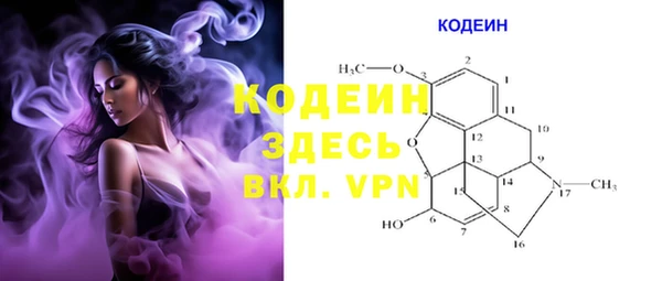 гашик Мегион